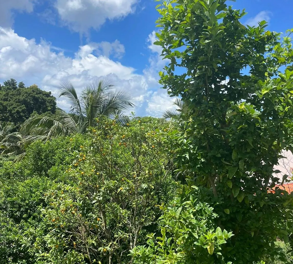 Green Loft Le Morne-Vert Martinique