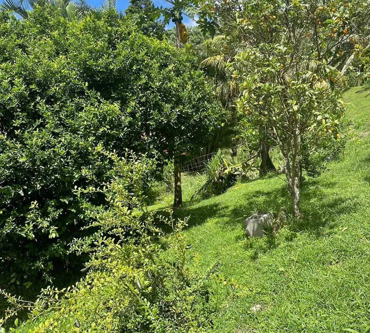 Green Loft Le Morne-Vert 0*,  Martinique